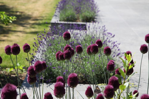 Hertfordshire Modern Garden