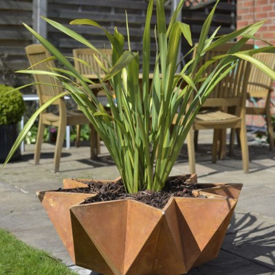 Kronen bowl rust logo(7) - Copy