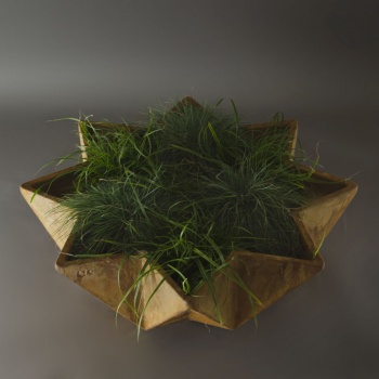 star shaped modern planter design 1 metre wide