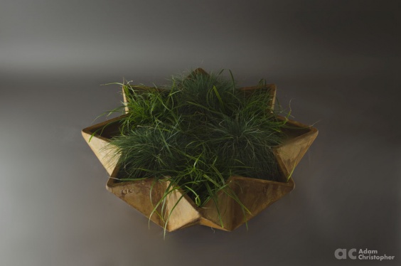 star shaped modern planter design 1 metre wide